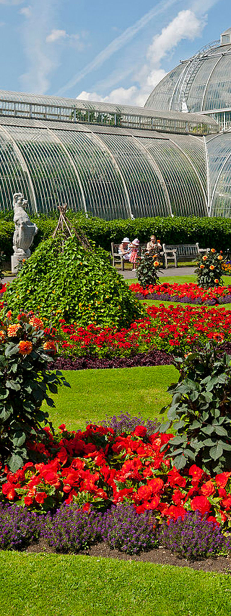 The History Of Francis Masson